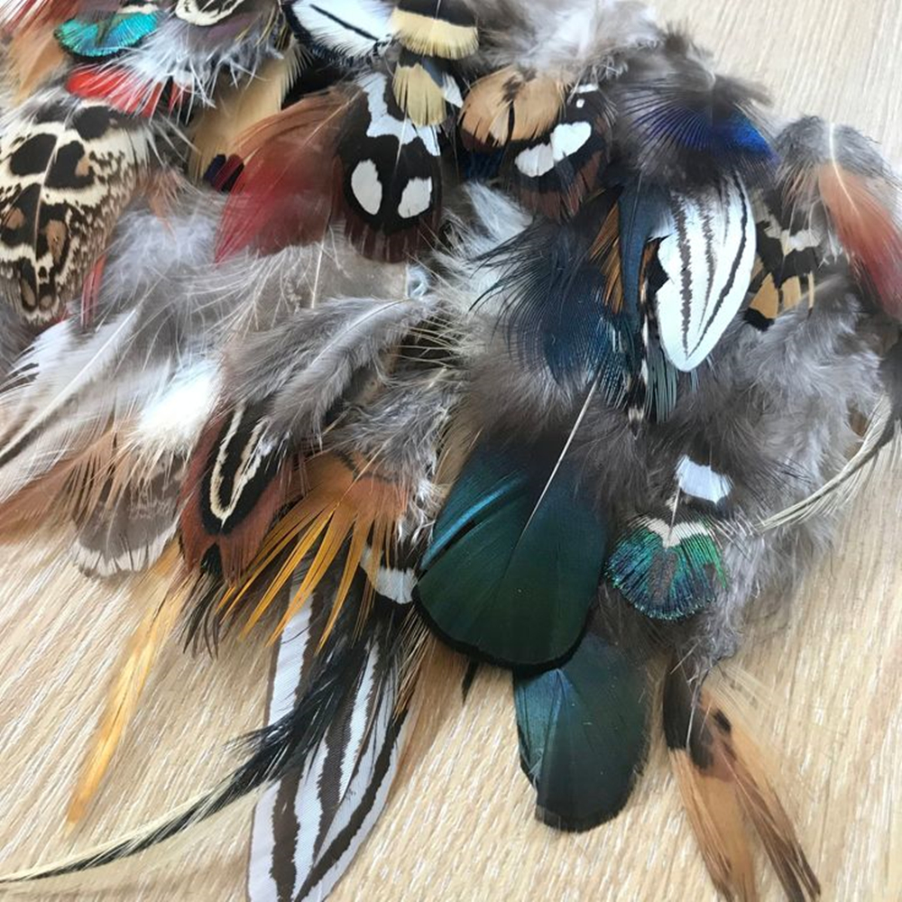 Jewelry Making Raw Materials - Wholesale Small Chicken Rooster Feathers Jewelry