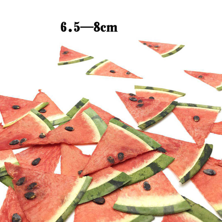5pcs Dried Pressed Exopy Fruit - Jewelry Making For Birthday Party recensie en prijs