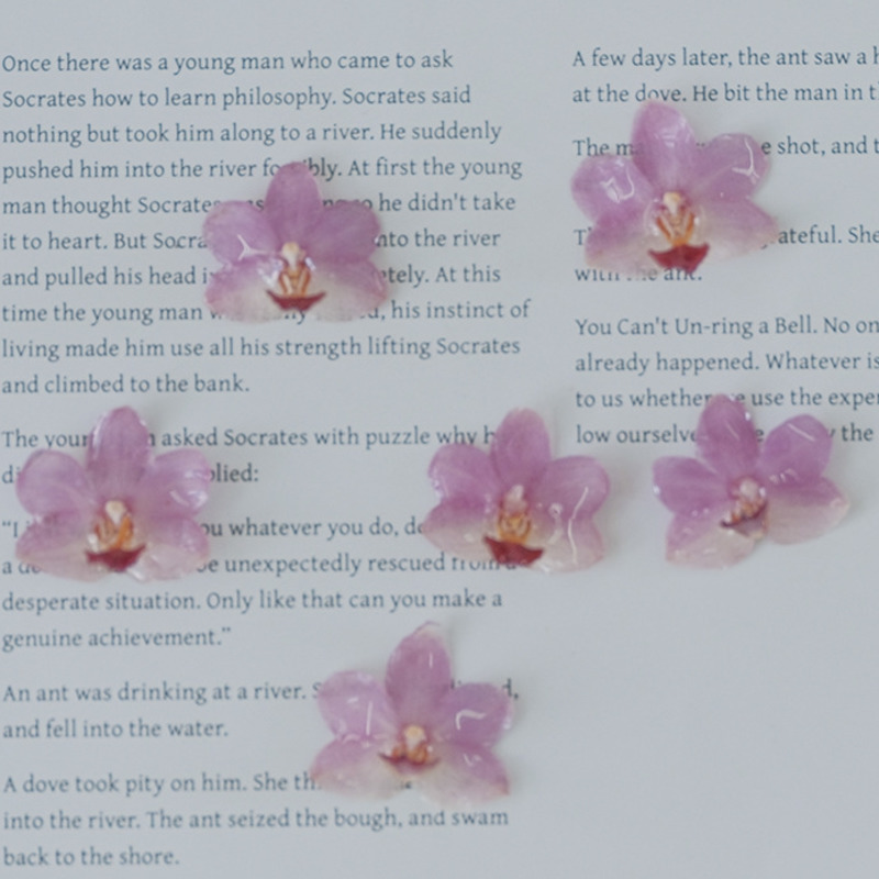 DIY Jewelry Natural Pink Resin - Jewelry Making For Birthday Party recensie en prijs