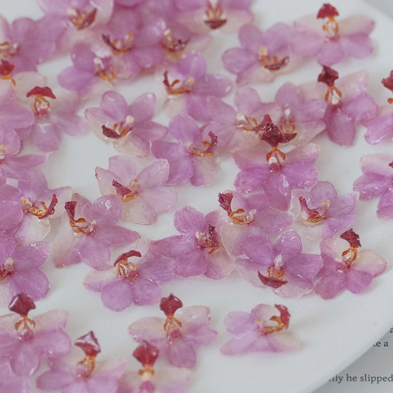 DIY Jewelry Natural Pink Resin - Jewelry Making For Birthday Party recensie en prijs