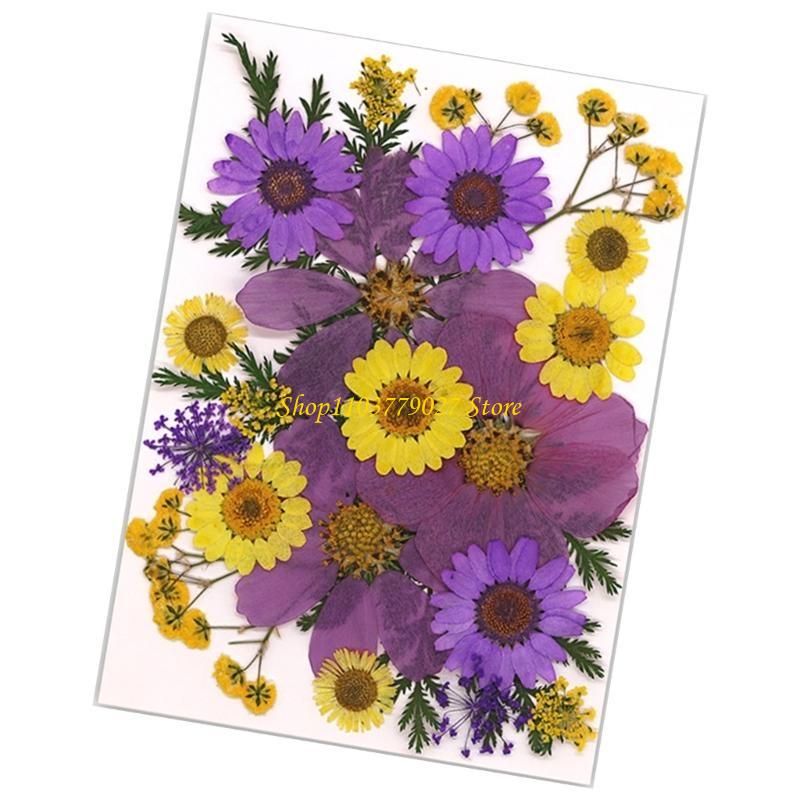 C4DF 22Pcs Dried Flower For Bo - Jewelry Making Party For Adults recensie en prijs