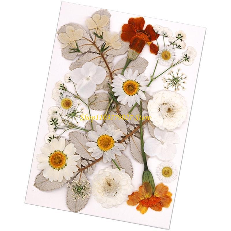 C4DF 22Pcs Dried Flower For Bo - Jewelry Making Party For Adults recensie en prijs